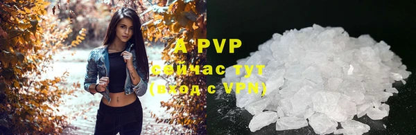 сатива Алексин