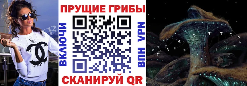 Псилоцибиновые грибы MAGIC MUSHROOMS  Бирюч 